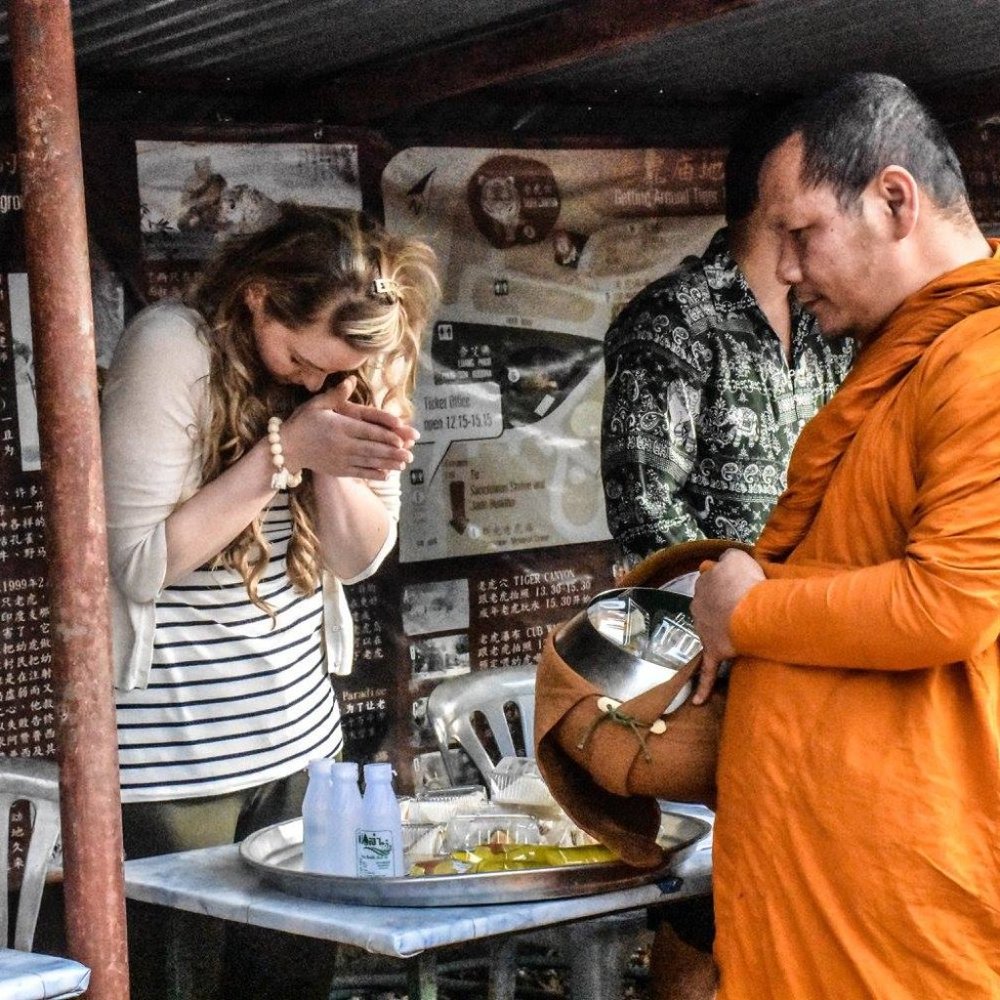 Haus Of Rabbit - Picture 5 of 8